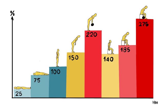 Coluna vertebral e unidade funcional.