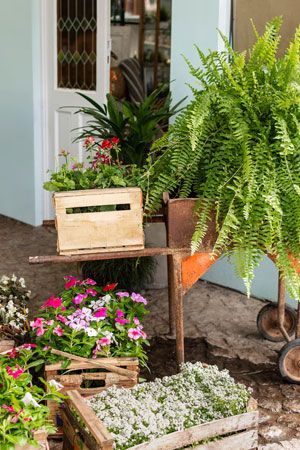 Wooden crates overflowing with colorful flowers and ferns near a door.