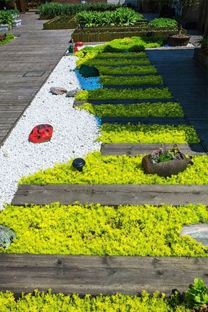Wooden walkway with lush green groundcover, white pebbles, and garden beds.