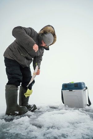 man Man ice fishing: removes fish from a line on a frozen lake, wearing a parka, boots, and a hat, a tackle box nearby.