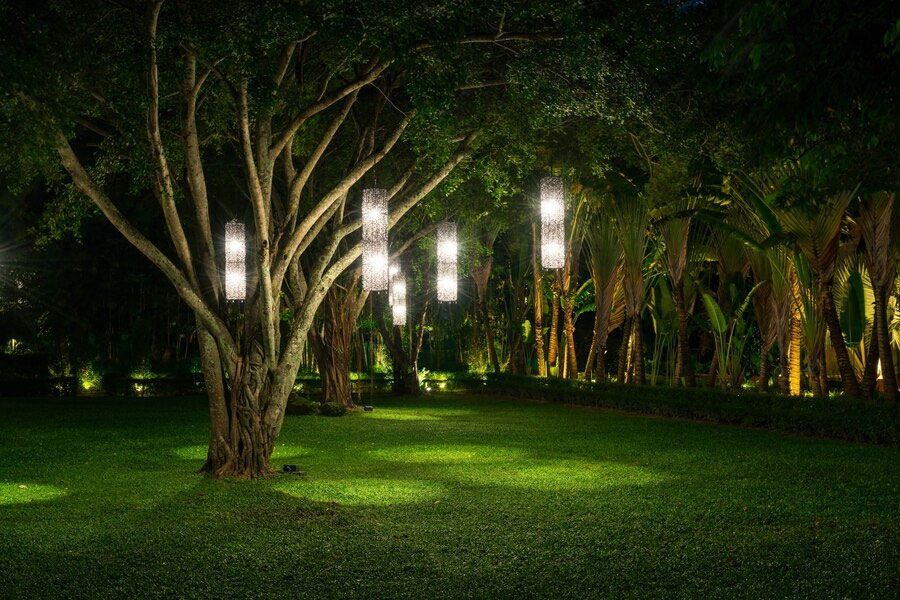 Lush green night scene with lit lanterns hanging from tree branches, casting soft shadows on grass.
