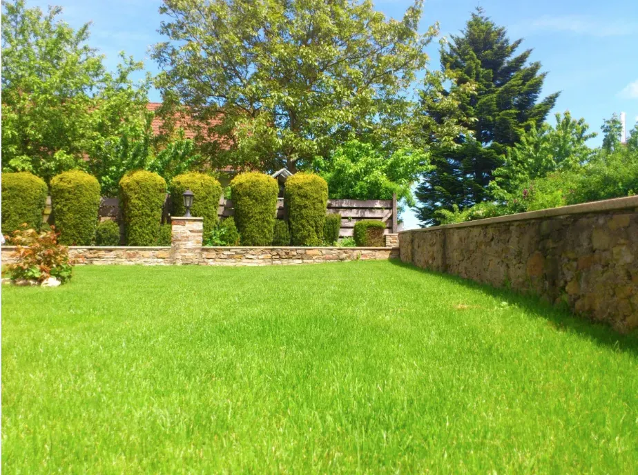 Lush green lawn bordered by stone walls and neatly trimmed bushes, with trees and a bright blue sky in the background.