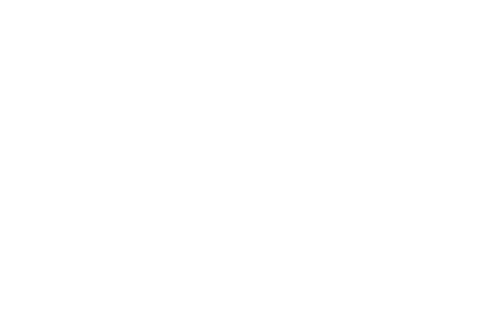 FIRM Realty Logo in Header - linked to home page