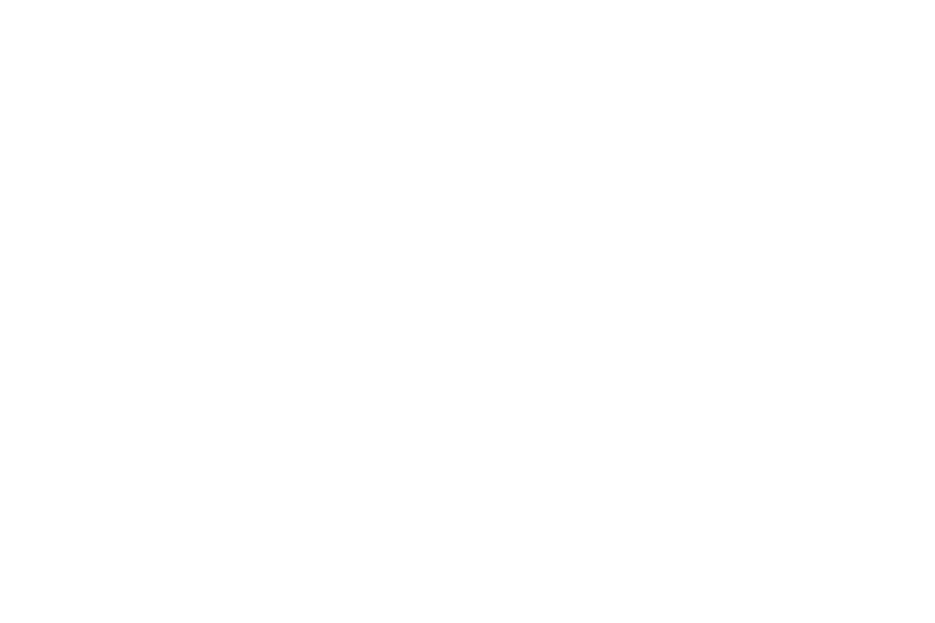 FIRM Realty Logo in Footer - linked to home page