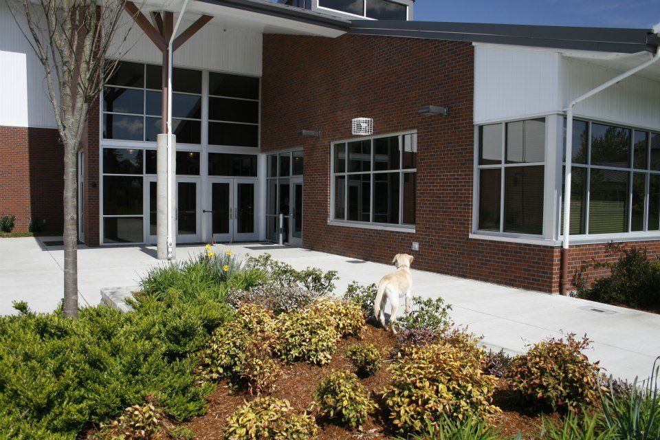Glasses and Doors of Building — Eugene, OR —  Lane County Glass