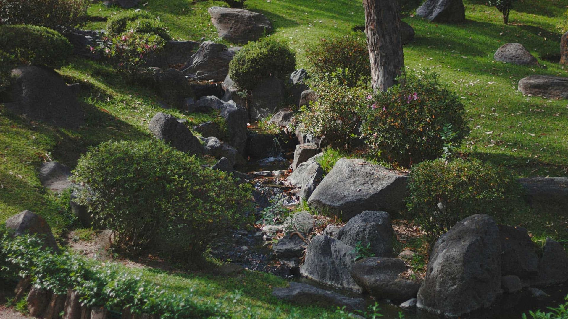 A small stream cascades through a grassy, landscaped area with large rocks and bushes.