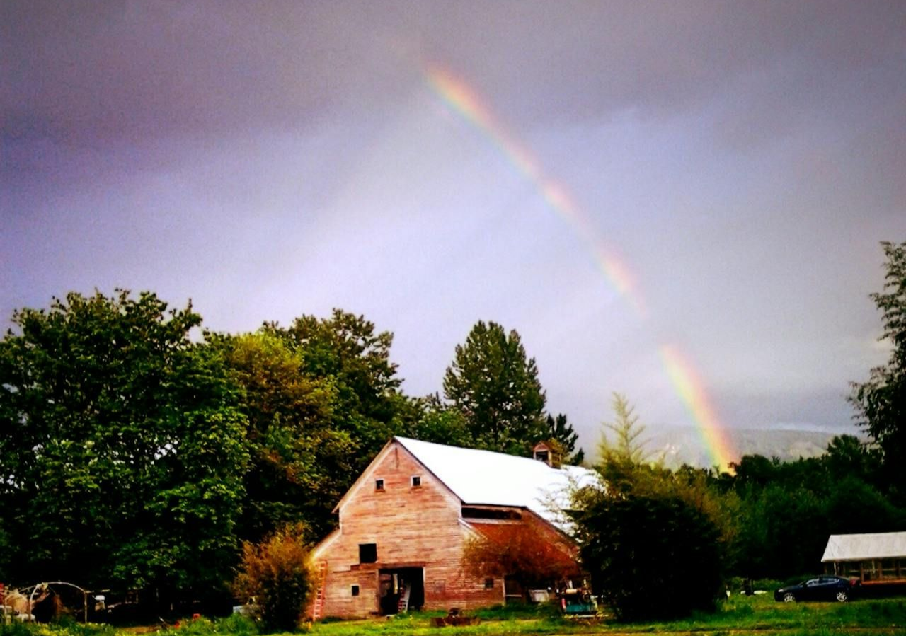 Rainbow arches over an old wooden barn in a green field under a stormy sky.