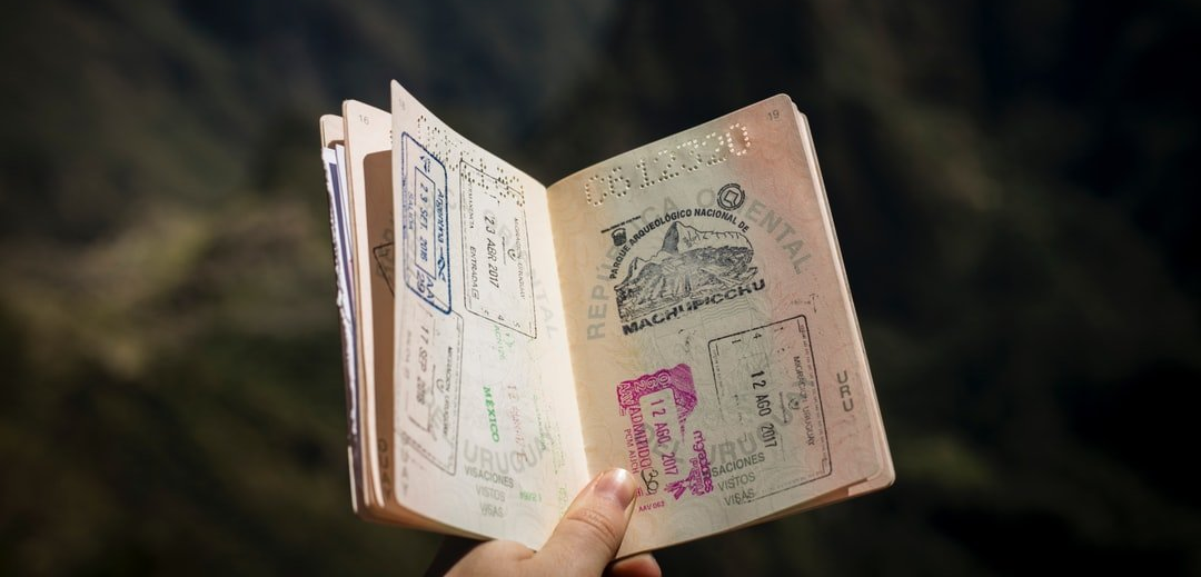 A passport with several stamps held in a hand, against a blurred green background.