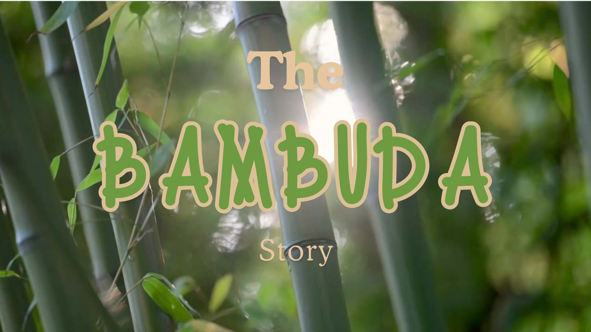 A bamboo tree with the words `` the bambuda story '' written on it