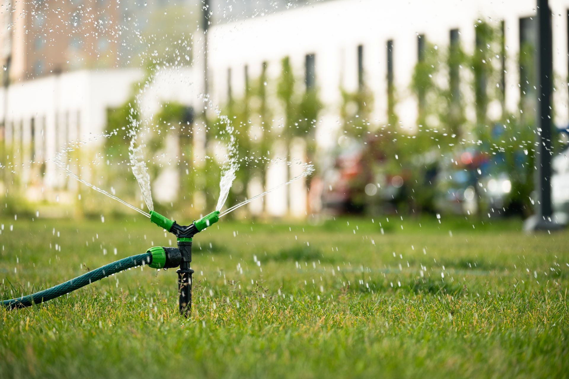 A sprinkler is spraying water on a lush green lawn.