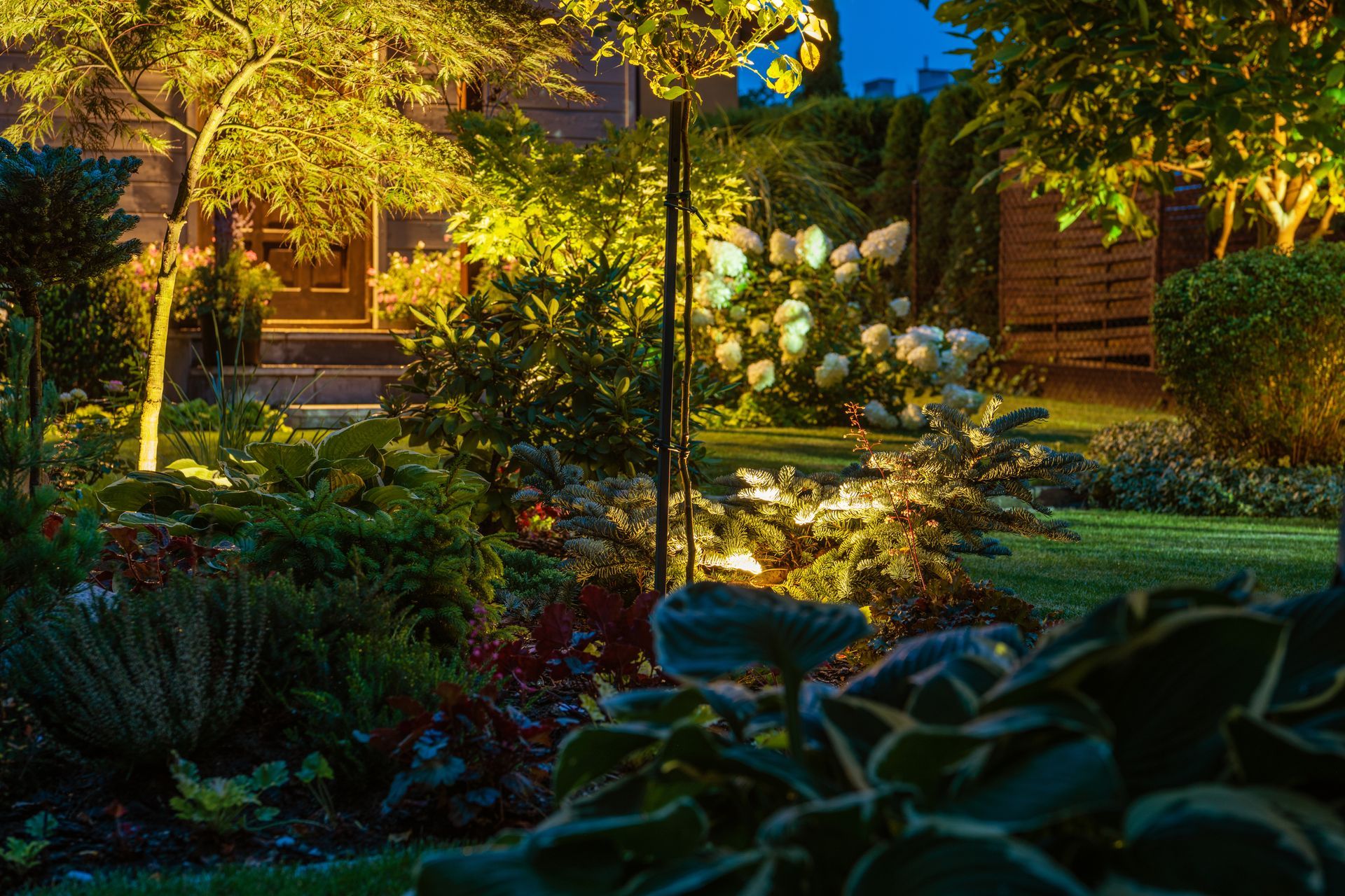Garden at night, illuminated by warm lights. Lush greenery, trees, and bushes in a residential yard.