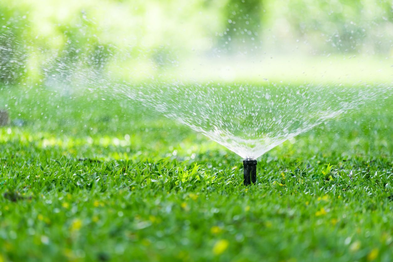 Close up of an Automatic garden lawn sprinkler watering the grass