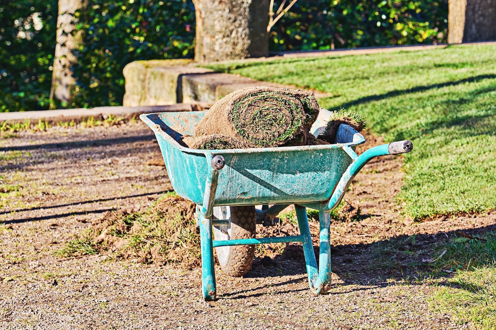 can you lay sod in the winter