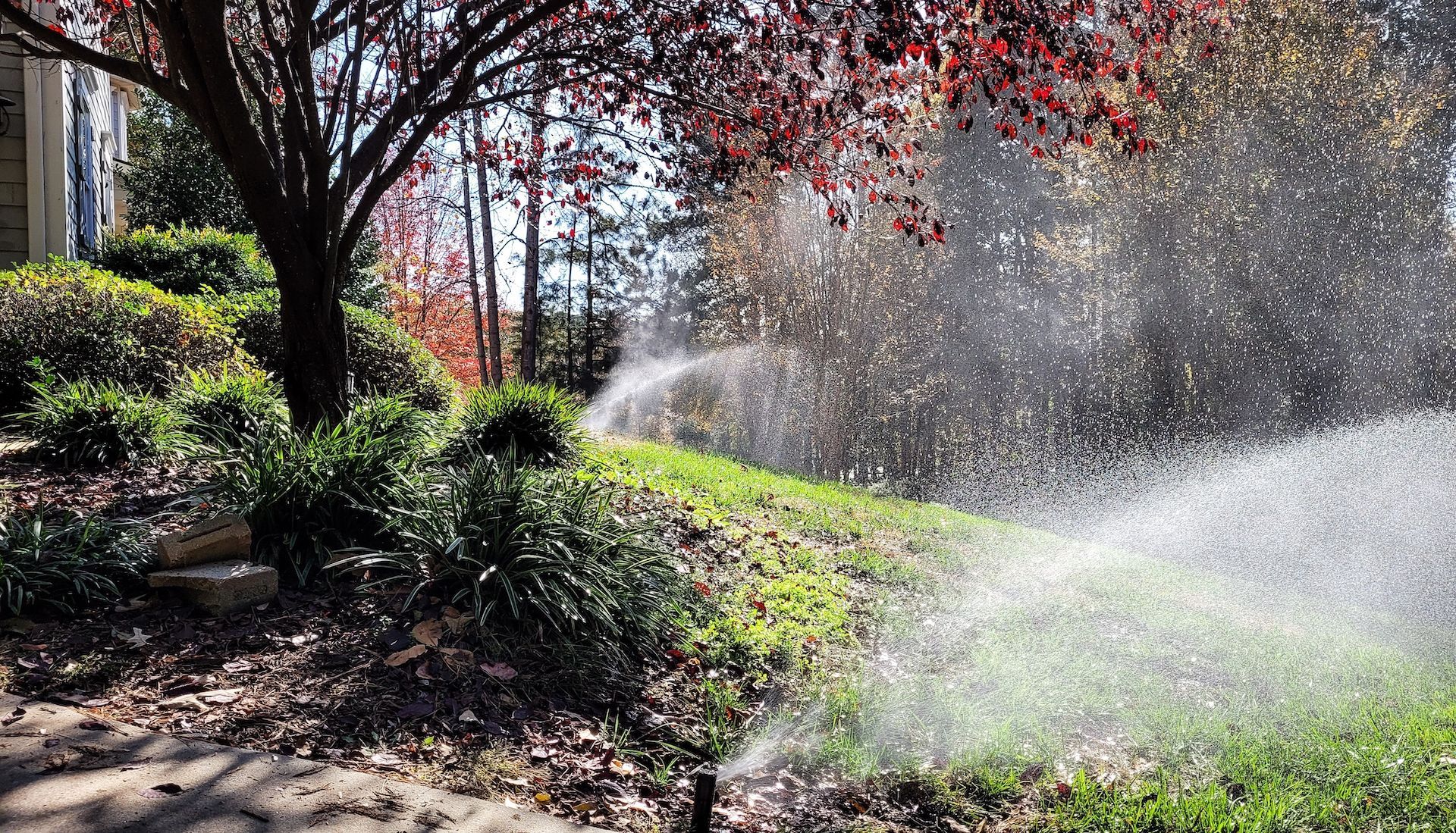 turning on sprinklers after winter