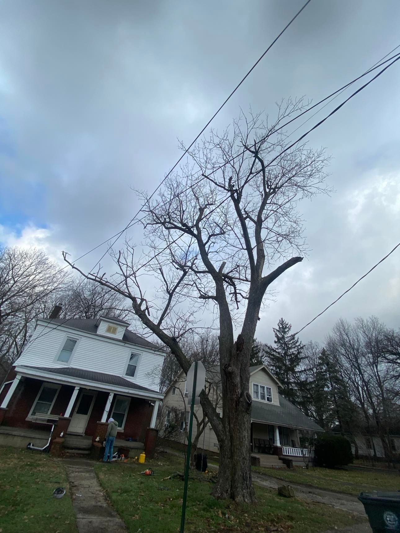 A house with a metal roof and a tree in front of it.