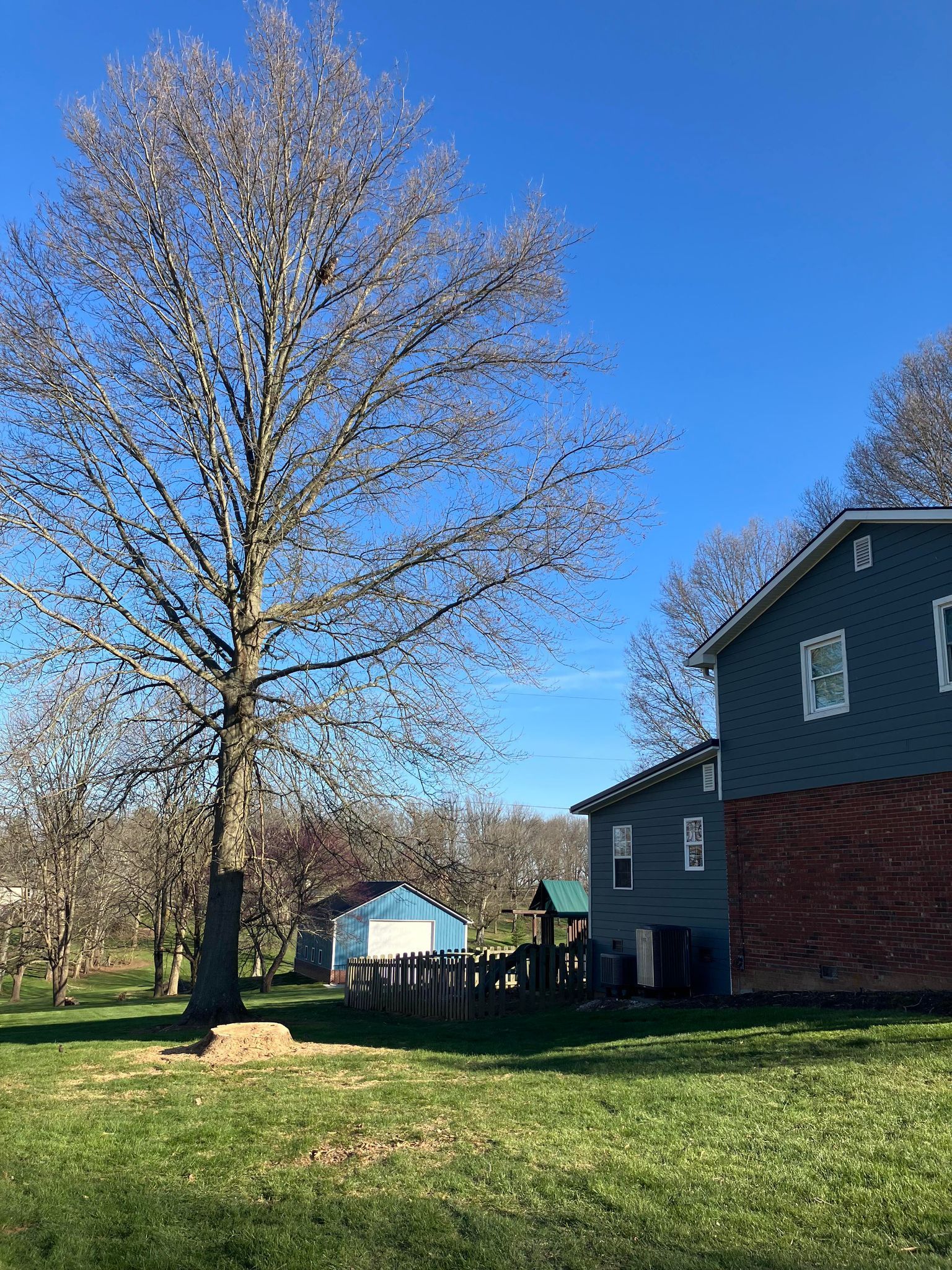A house with a tree in front of it on a sunny day