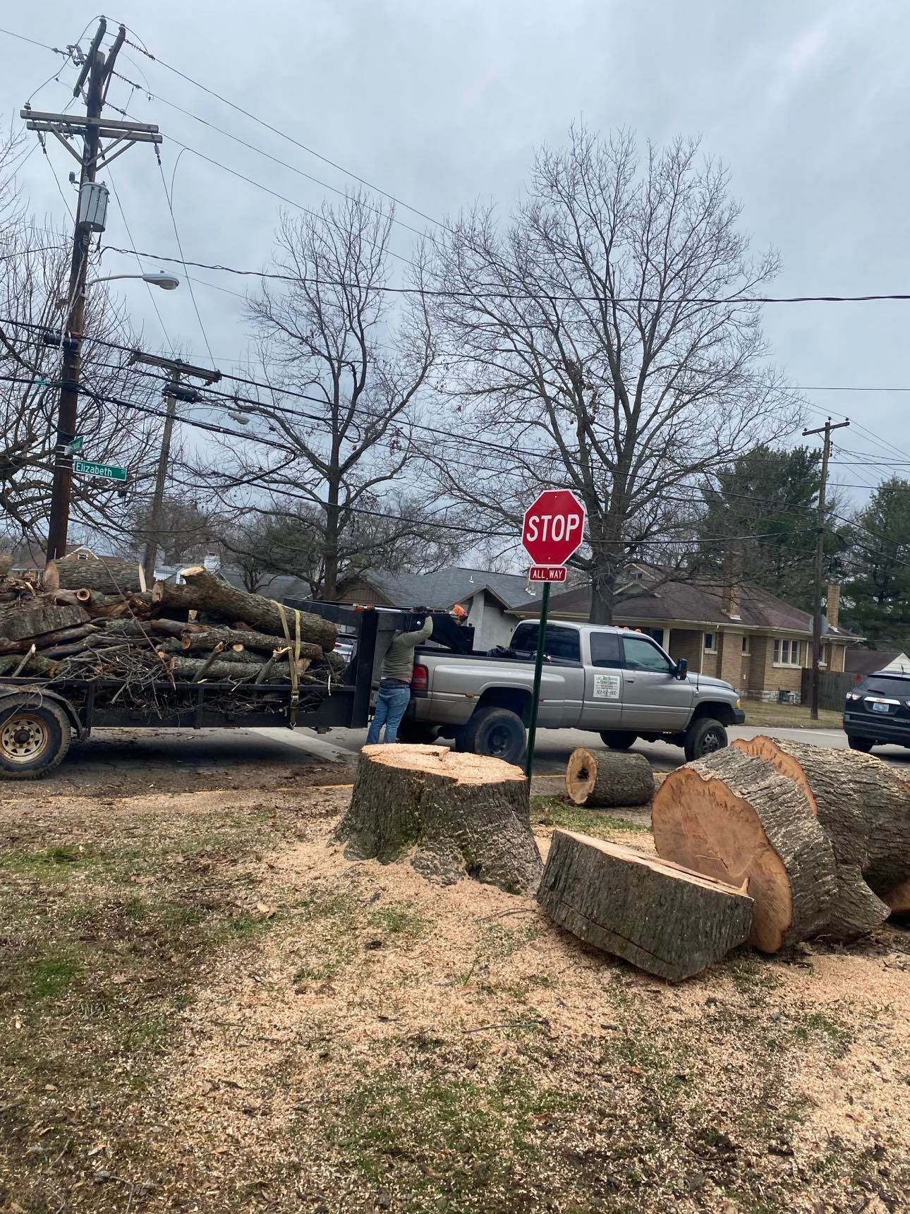 A stop sign is next to a truck carrying logs.