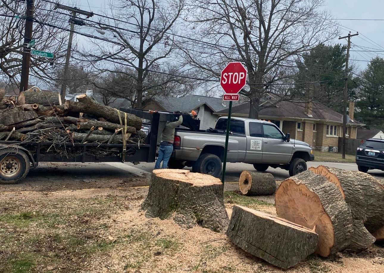 A stop sign is next to a truck carrying logs.