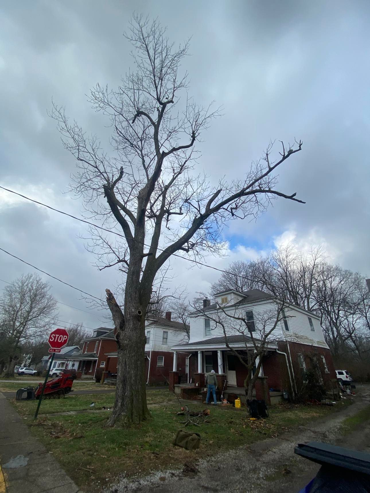 A tree in front of a house with a stop sign in the background.