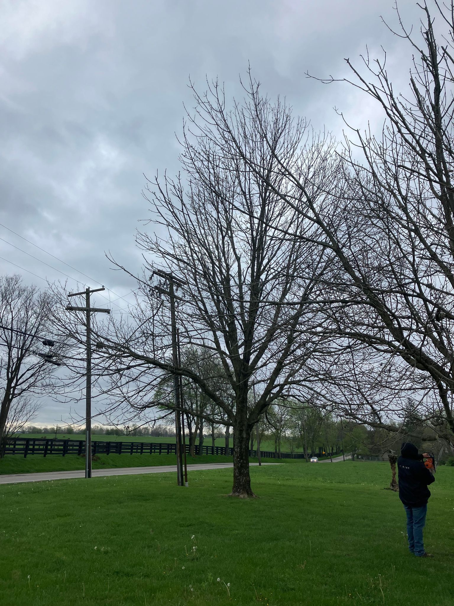 A person standing in a park with trees in the background