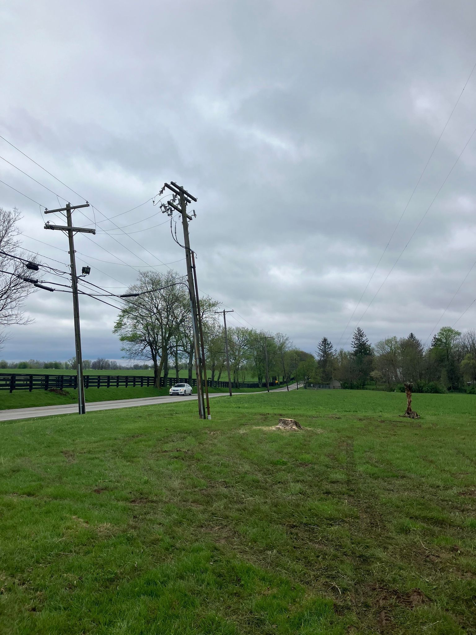 A large grassy field with a telephone pole in the middle of it.