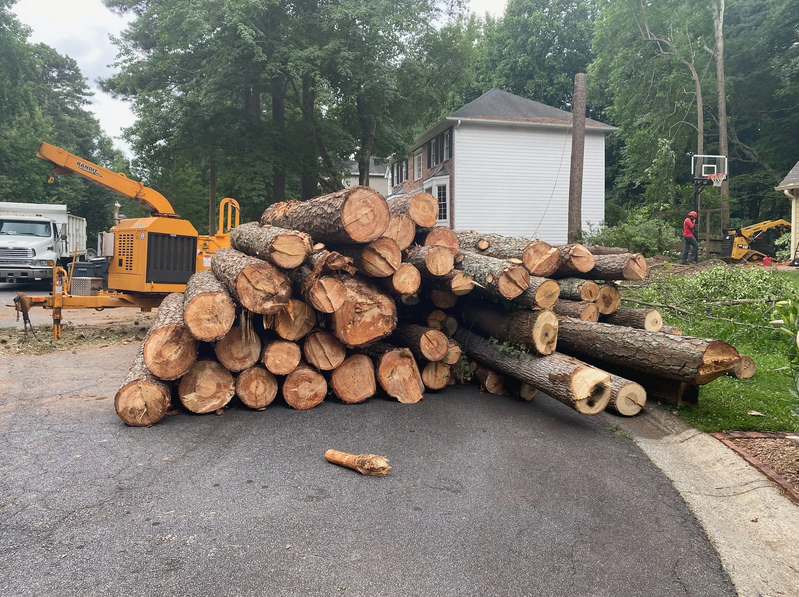 A man is using a tractor to remove branches from a tree.