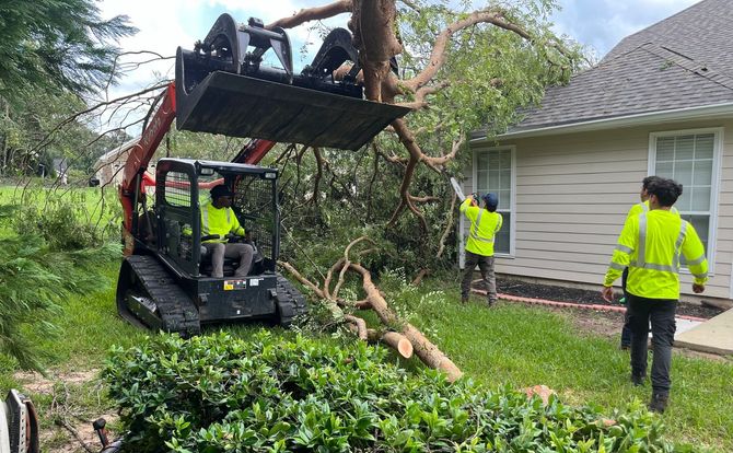 A large tree has fallen on top of a house.