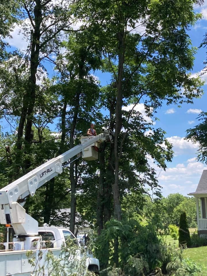 A man is cutting a tree with a crane in front of a house.