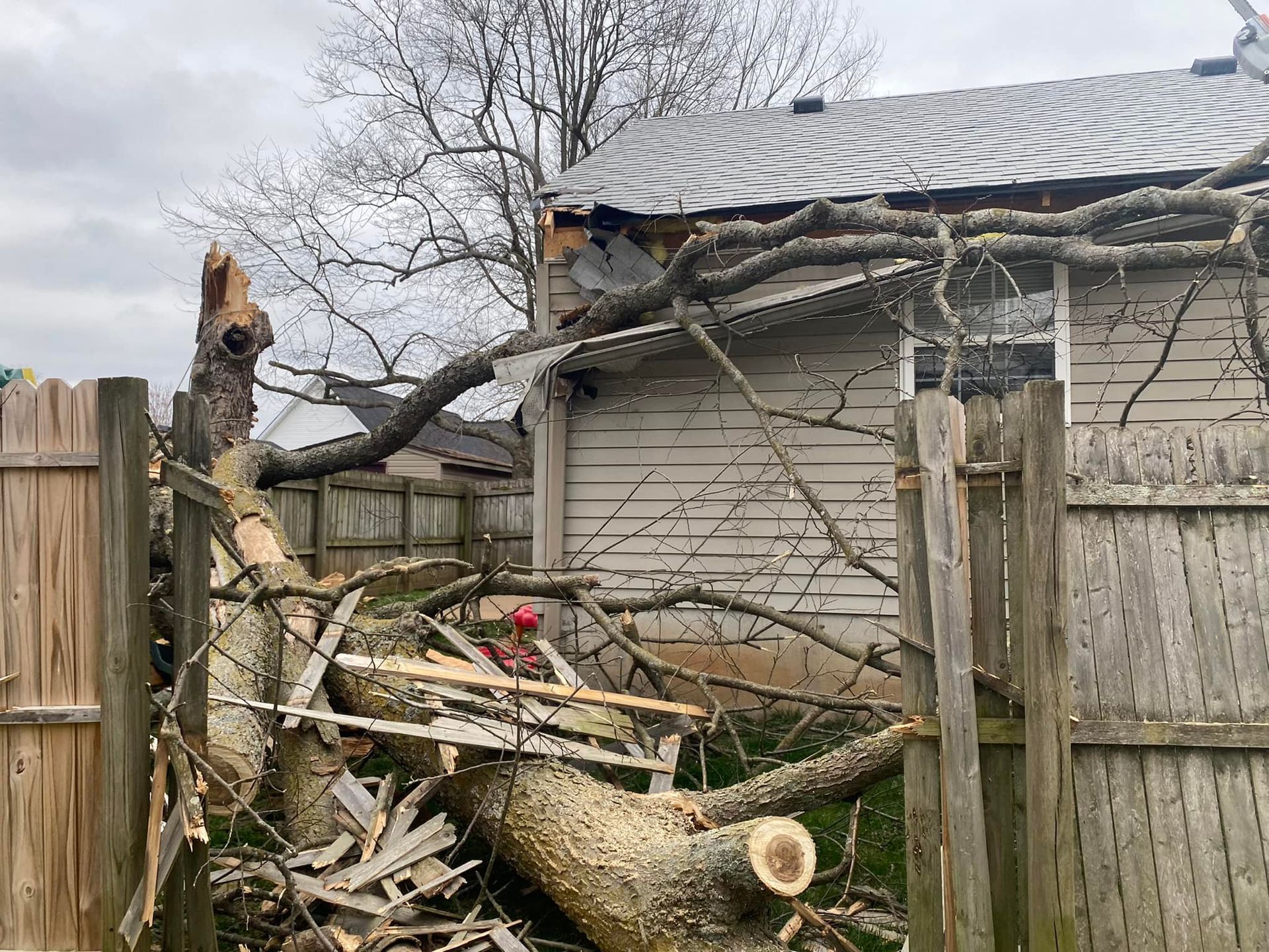 A tree has fallen on a house and a fence.