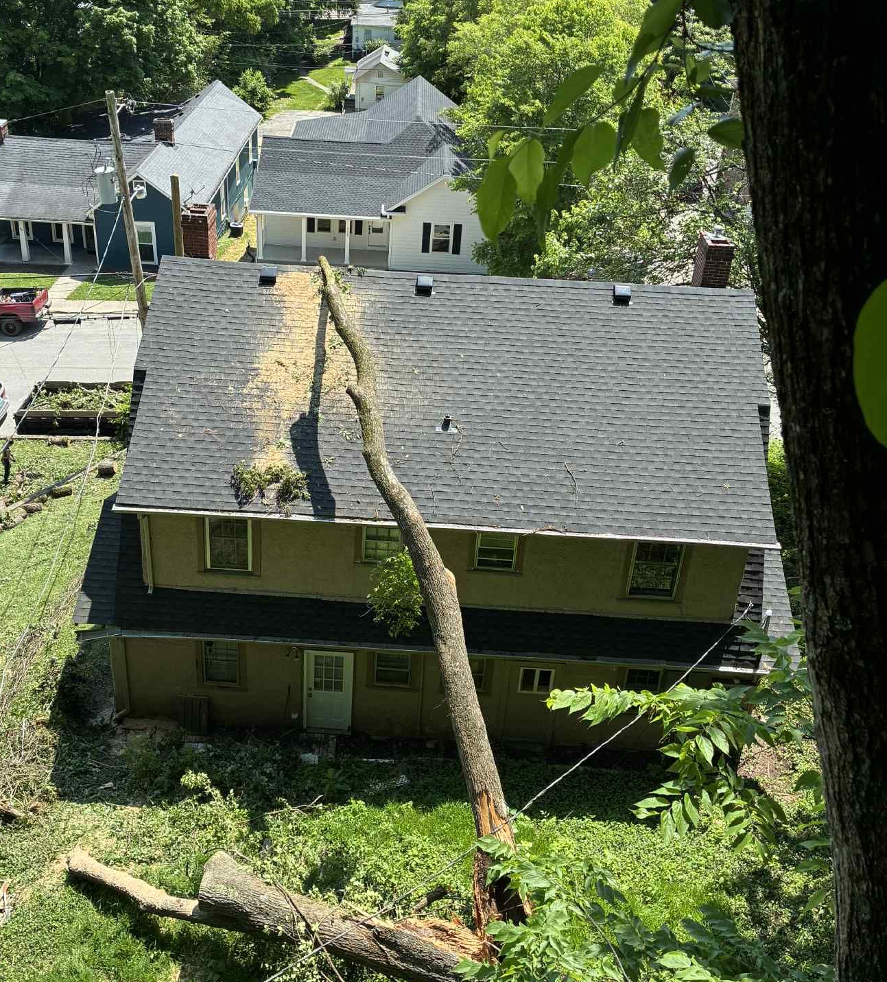 A tree has fallen on a house and a fence.