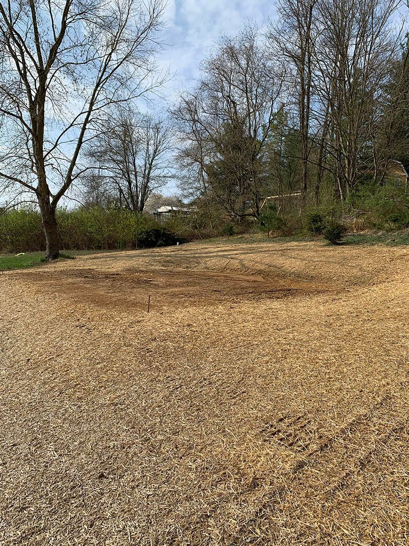 A field filled with wood chips and trees in the background.