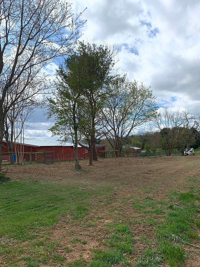 A large grassy field with trees and a red barn in the background.