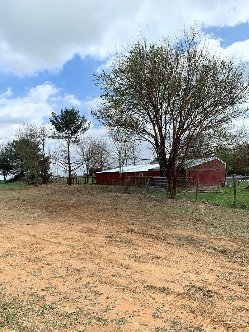 A dirt field with a red barn and trees in the background.