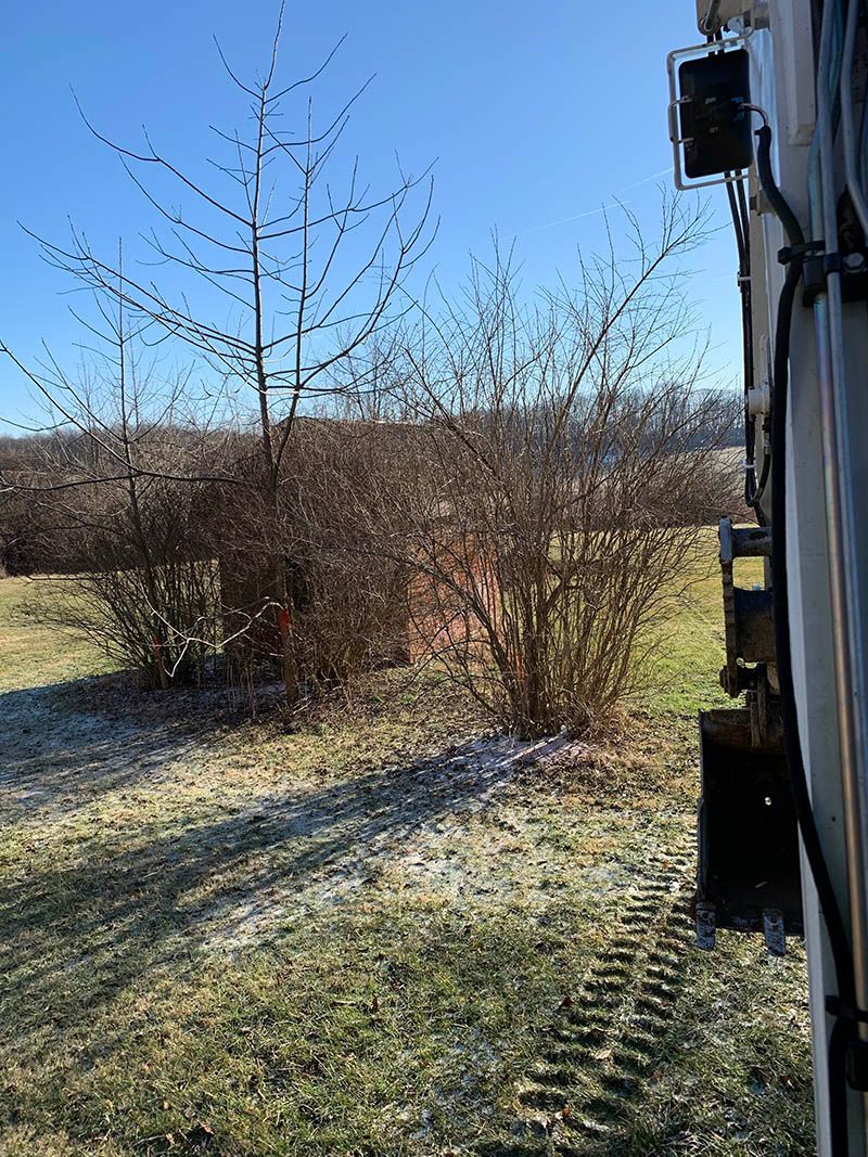 A truck is driving down a dirt road next to a field with trees and bushes.