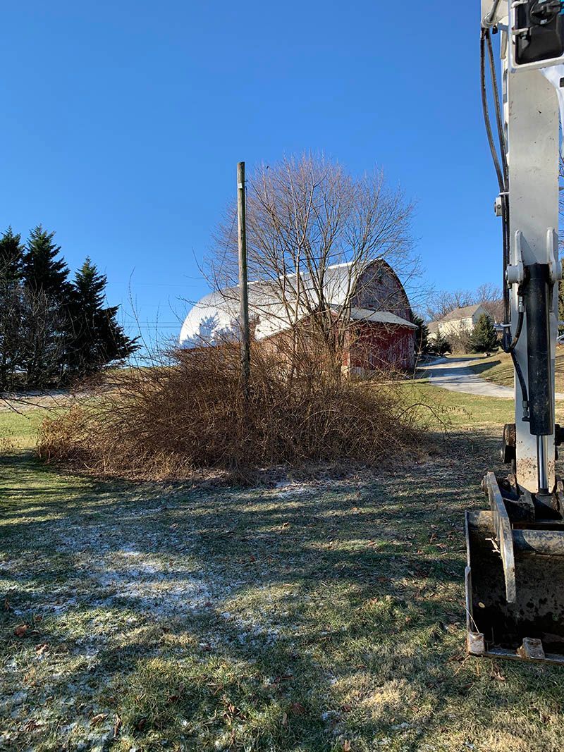 A bulldozer is parked in a grassy field in front of a barn.