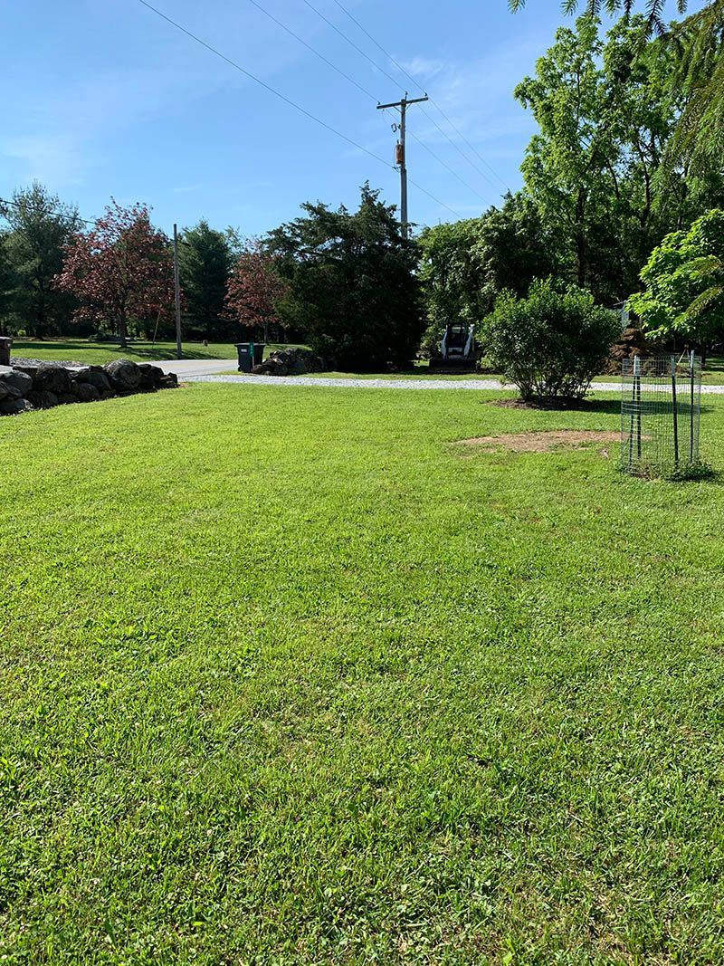 A large lush green field with trees and a road in the background.