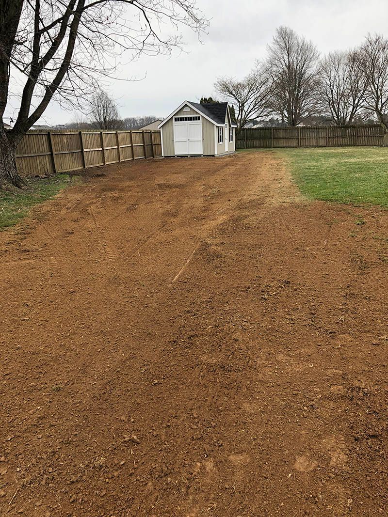 A dirt road leading to a shed in a field.