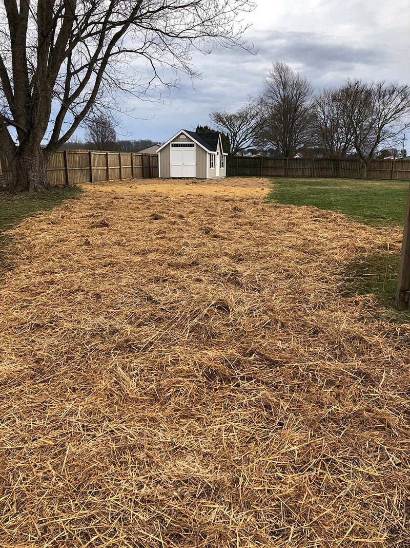 A shed is sitting in the middle of a field of hay.