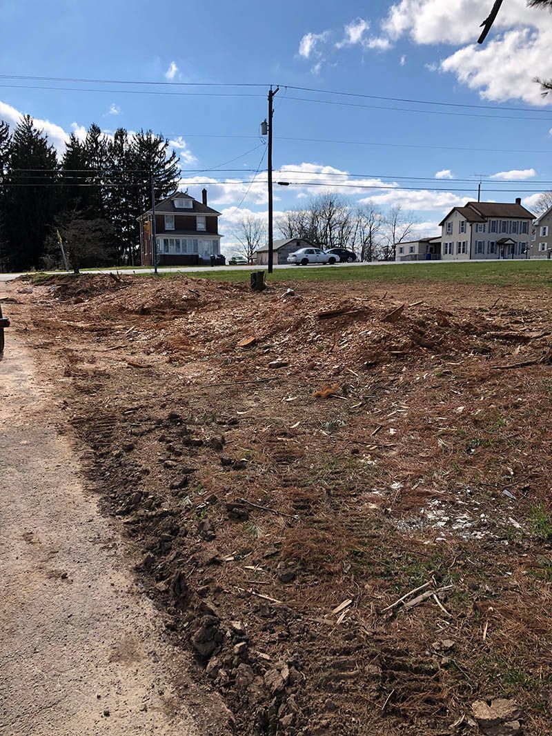 A dirt road going through a field with a house in the background.