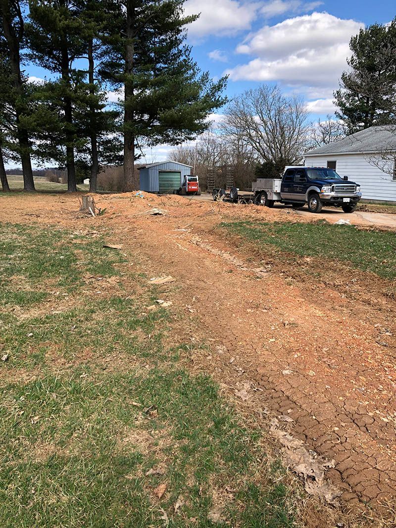 A dirt road leading to a house with a truck parked on the side of it.