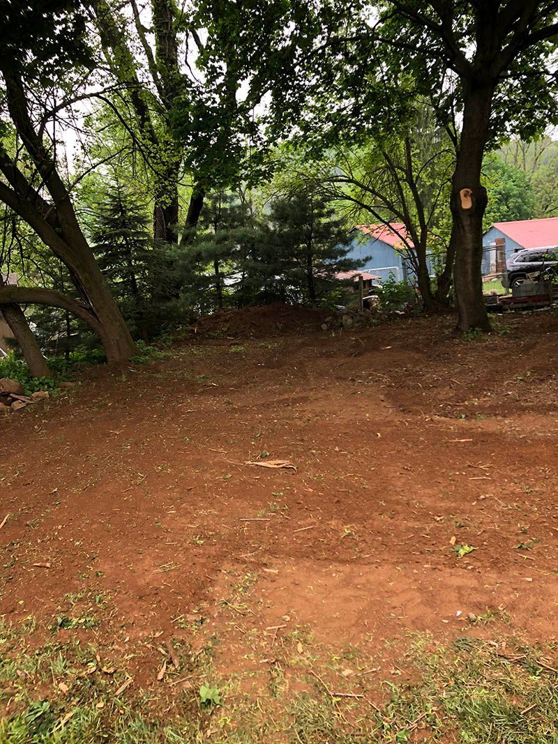 A dirt field with trees and a house in the background.