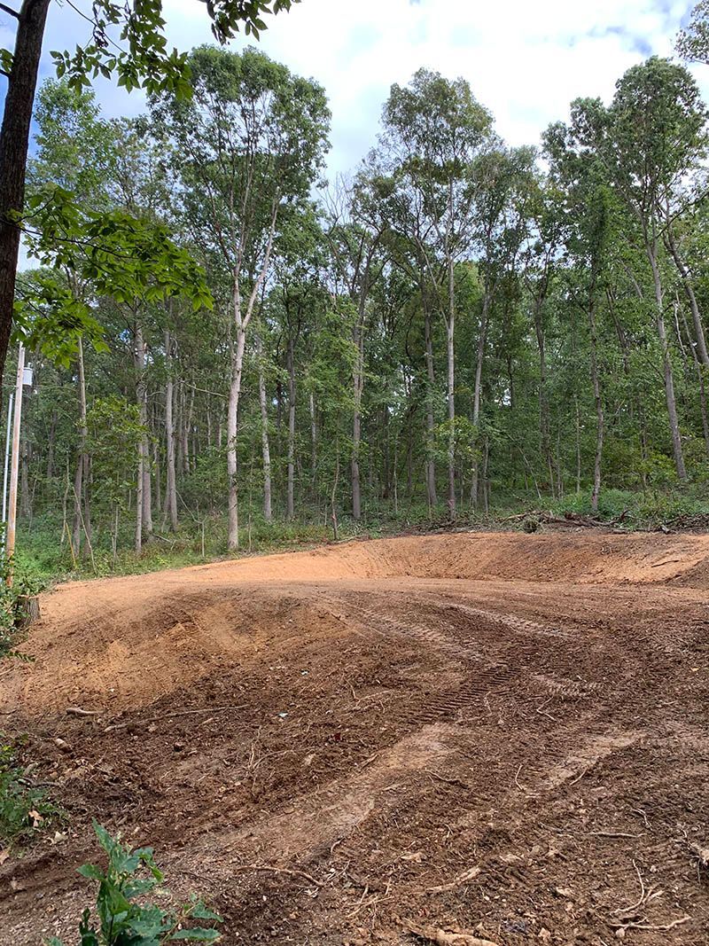 A dirt road in the middle of a forest with trees in the background.