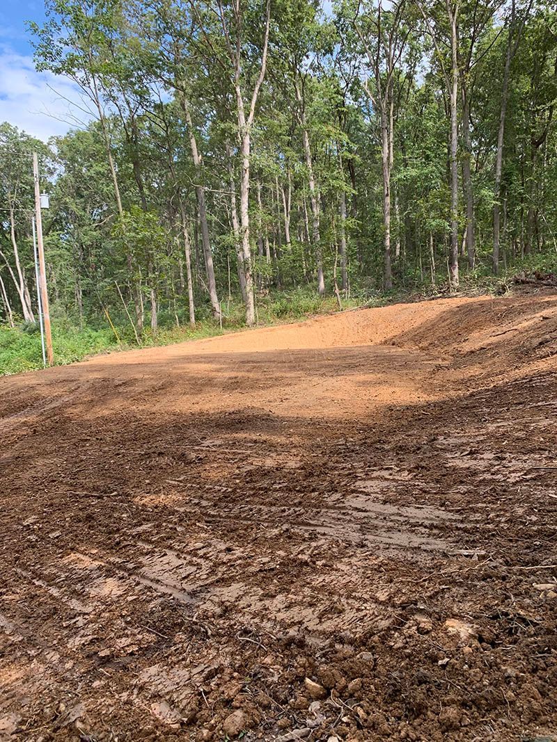 A dirt road in the middle of a forest with trees in the background.