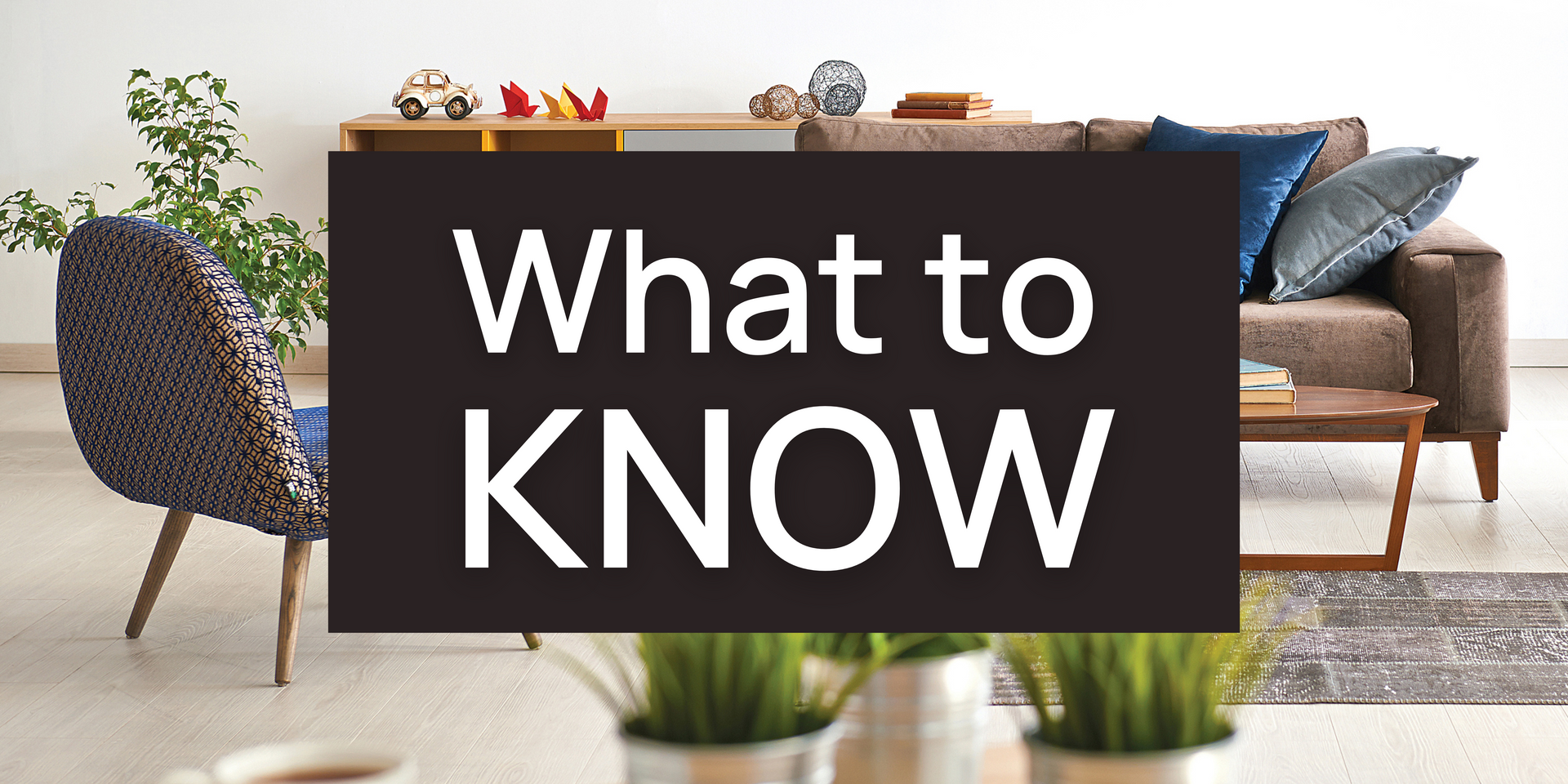 What to Know Before You Search for Your Next Rental
