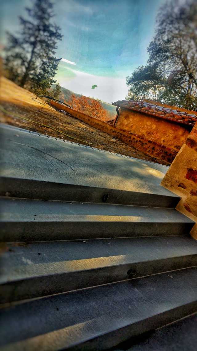 Una rampa di scale che porta a un edificio con alberi sullo sfondo.