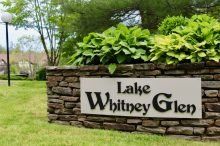 Go to dashboard.appfoliowebsites.com (lake-whitney-glen-apartments subpage)