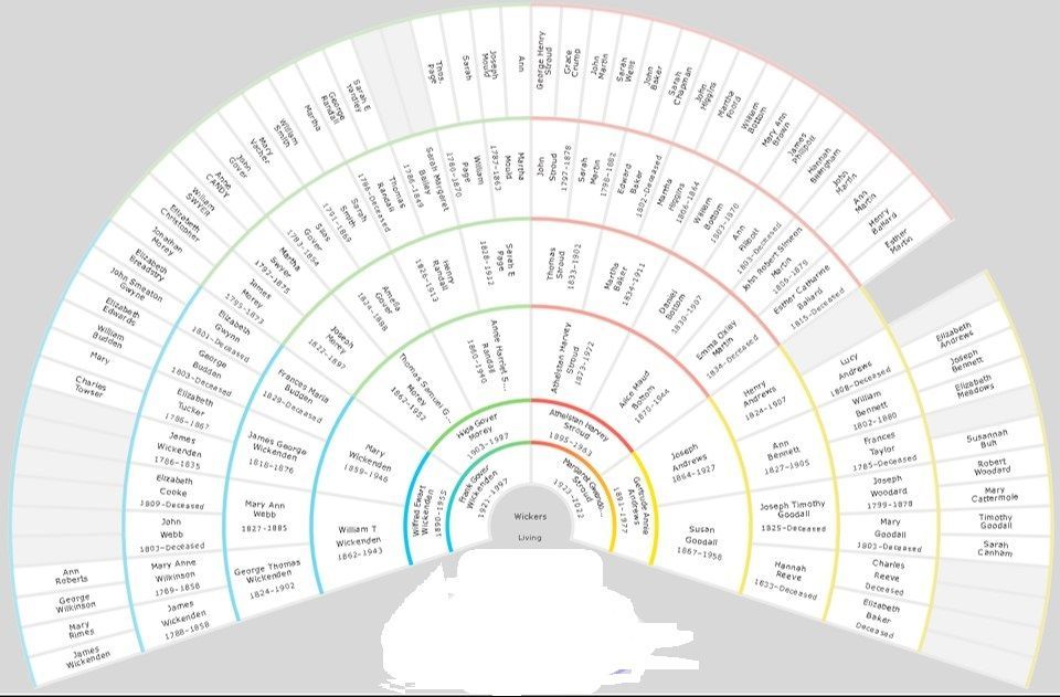 Wickenden Stroud Morey Andrews Family Tree