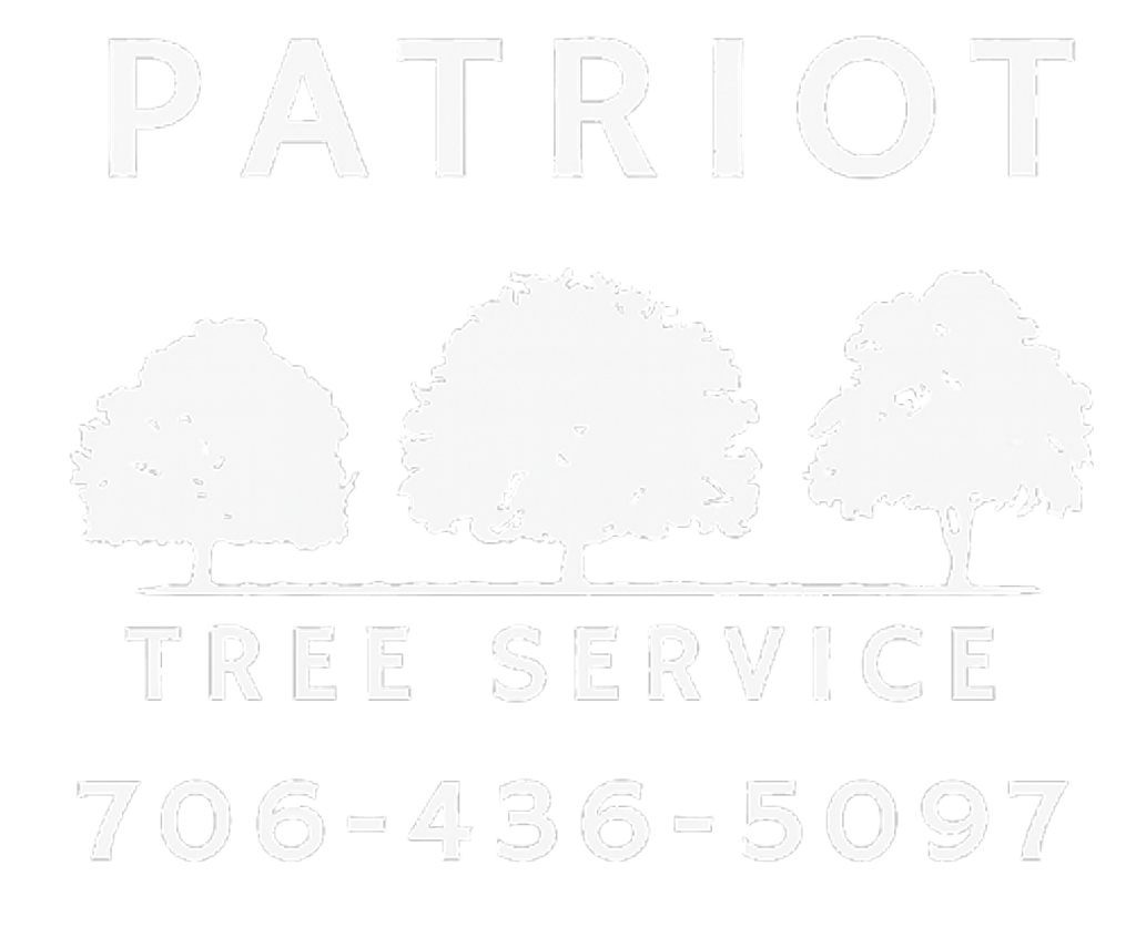 Logo for Patriot Tree Service, featuring three stylized trees and phone number 706-436-5097.
