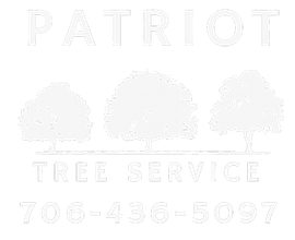 Logo for Patriot Tree Service, featuring three stylized trees and phone number 706-436-5097.