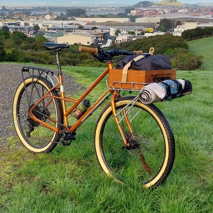 A bicycle with a basket on the back is parked in a grassy field.